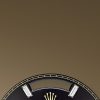 Rolex Day-Date 40 Yellow gold Ref# 228238-0004